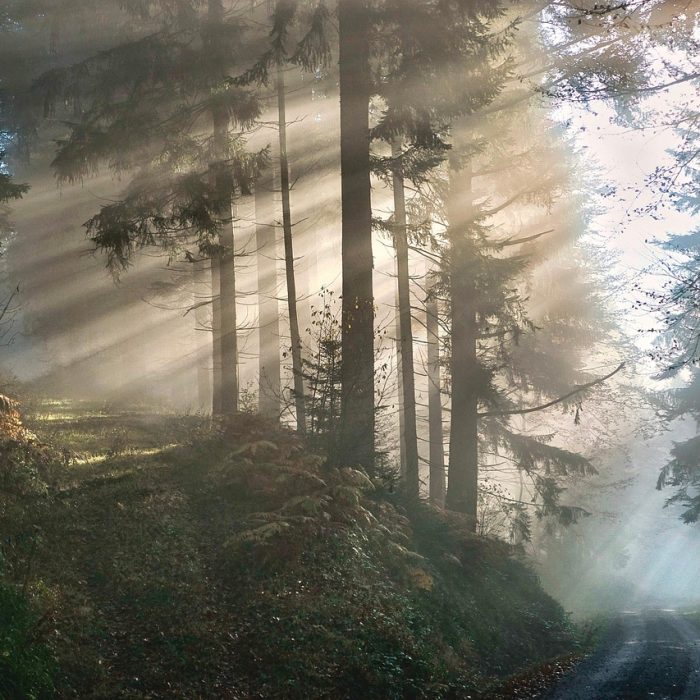 Criaturas fantásticas