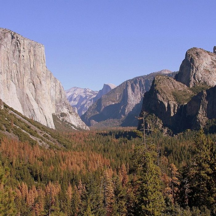 Parques, ciudadelas y esferas