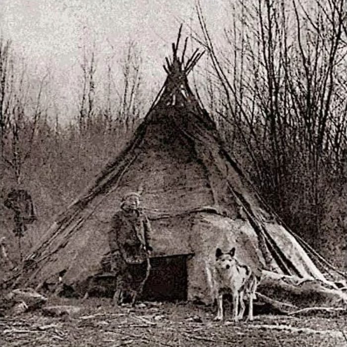 Lobos, perros y duendes